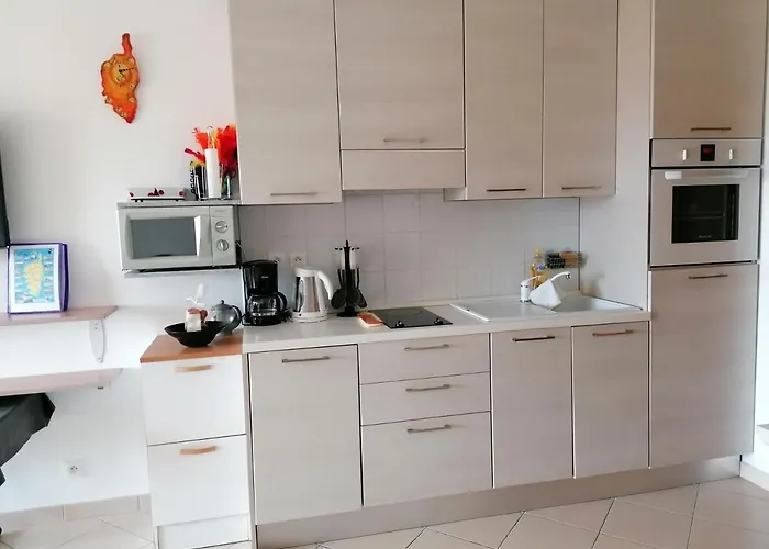 Les Eucalyptus LʼÎle-Rousse