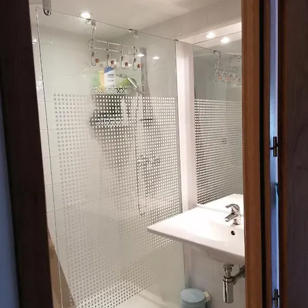 Les Eucalyptus * L'Ile-Rousse (Corsica)