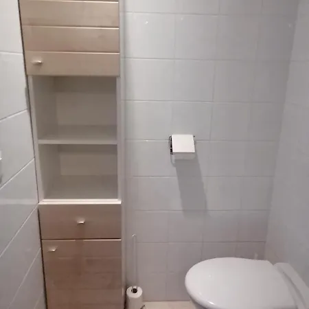 Les Eucalyptus * L'Ile-Rousse (Corsica)