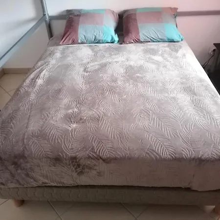 Les Eucalyptus * LʼÎle-Rousse