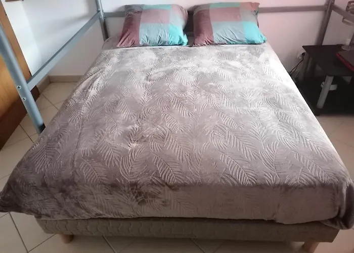 Les Eucalyptus * LʼÎle-Rousse